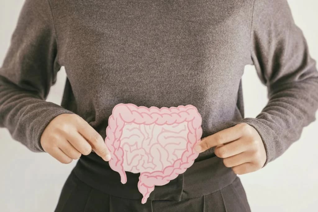 ### **Gut health and menopause:** 

 ## How Changing Hormones Affect Your Digestion And Microbiome