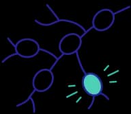 Lymphoma